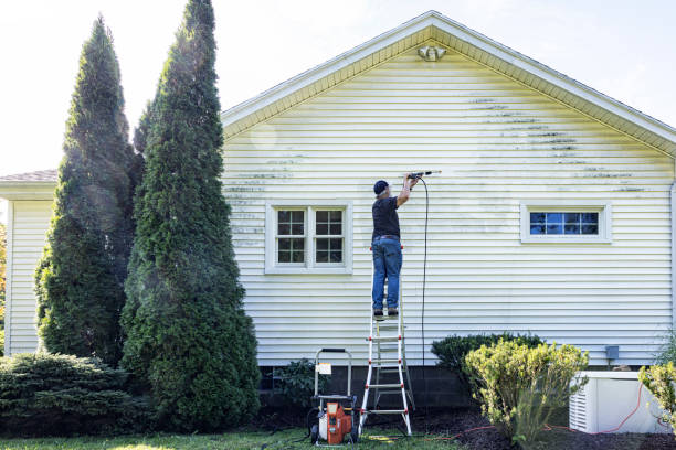 Best Sidewalk Pressure Washing  in Las Animas, CO