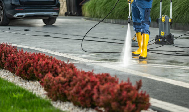 Best Roof Pressure Washing  in Las Animas, CO